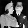 pulscer profil fotoğrafı