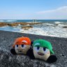 きょうちゃん profil fotoğrafı