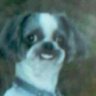 Profilbild von Perrofeo
