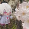 風莉_ふうり's profile picture