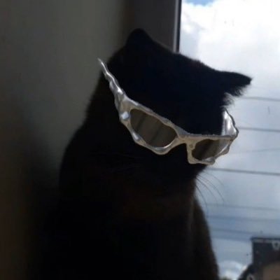 로에's profile picture