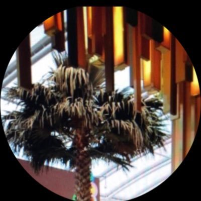 abokhalifaaaaa's profile picture
