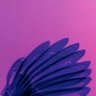 You nice¹³'s profile picture