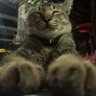 Rick_ẞ ahh profil fotoğrafı