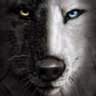 Profilbild von Snitche