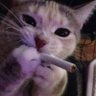 Profilbild von Samm