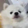Anaju profil fotoğrafı