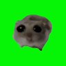 axelotlpotato 的头像