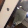 Neicy's profile picture