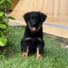 LoNa profil fotoğrafı
