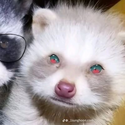 Lomayaret1's profile picture