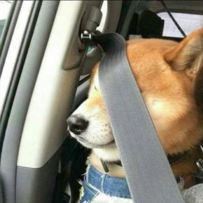 zero4xx's profile picture