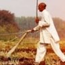गोवर्धन सिंह (भूमिपुत्र)'s profile picture