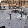上海独摄 profil fotoğrafı