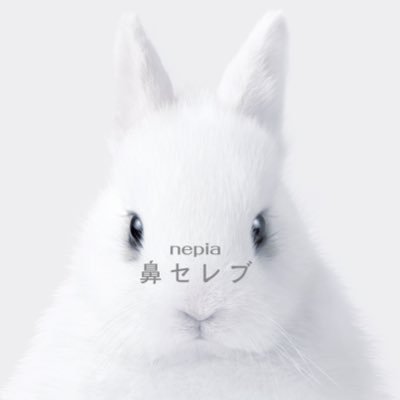 【公式】鼻セレブ's profile picture