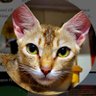 ಲೆಸ್ಲಿ . RD profil fotoğrafı
