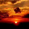 On Cloud Nine's profile picture