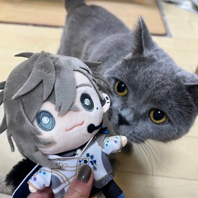 moegi_0707's profile picture