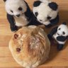 まるぱん 的头像