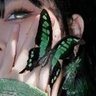 DillonAlexandra41's profile picture
