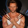 Profilbild von Wolverine