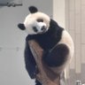 omw 的头像