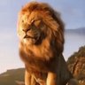 سكاااار وسيمبا profil fotoğrafı