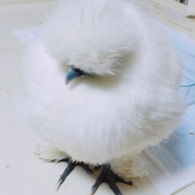 uininomom's profile picture