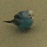 Profilbild von meto_14