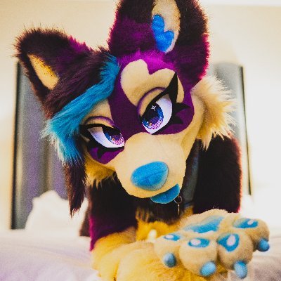 FeistyPhoenix's profile picture