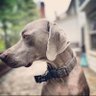 saraçoğlu profil fotoğrafı