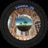Looka's profile picture