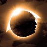 Dark of the Trump's profile picture