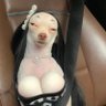 3005iiii's profile picture