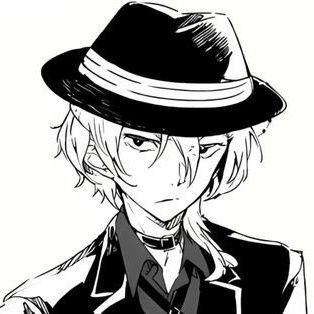 nova's profile picture