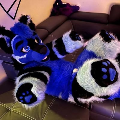 The Switch Stitch - Coms for Fall/winter open!'s profile picture