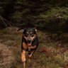 Jgang profil fotoğrafı