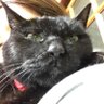 まるな profil fotoğrafı