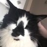 Jake Bond profil fotoğrafı