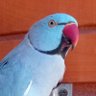 Benta Nagel profil fotoğrafı