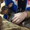 ジャグれんれん 的头像