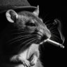 Michał's profile picture