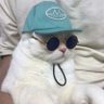Profilbild von samer rain