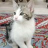 Фото профиля خالد العنزي