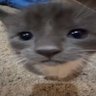 fer's profile picture