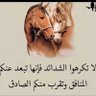 ابو مشاري 的头像