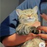 Blicky's profile picture