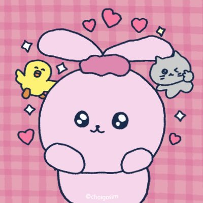 choigosim_jp's profile picture