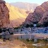 أحب الطبيعة والجمال 🇴🇲❤️ 的头像