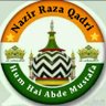 Profilbild von Nazir Raza Qadri